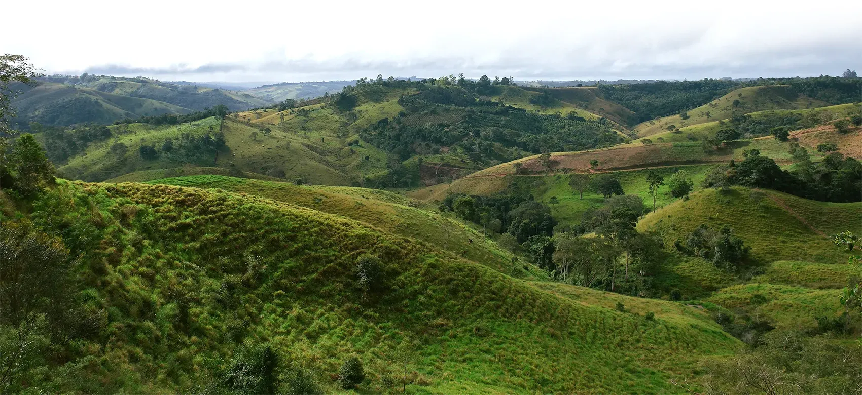 Waterorg_Brazil-Impact-Tour_Footer-RV