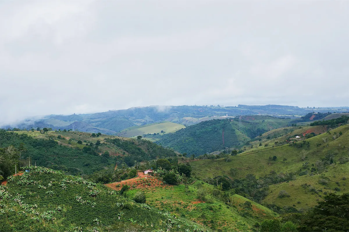 Waterorg_Brazil-Impact-Tour_Img-1