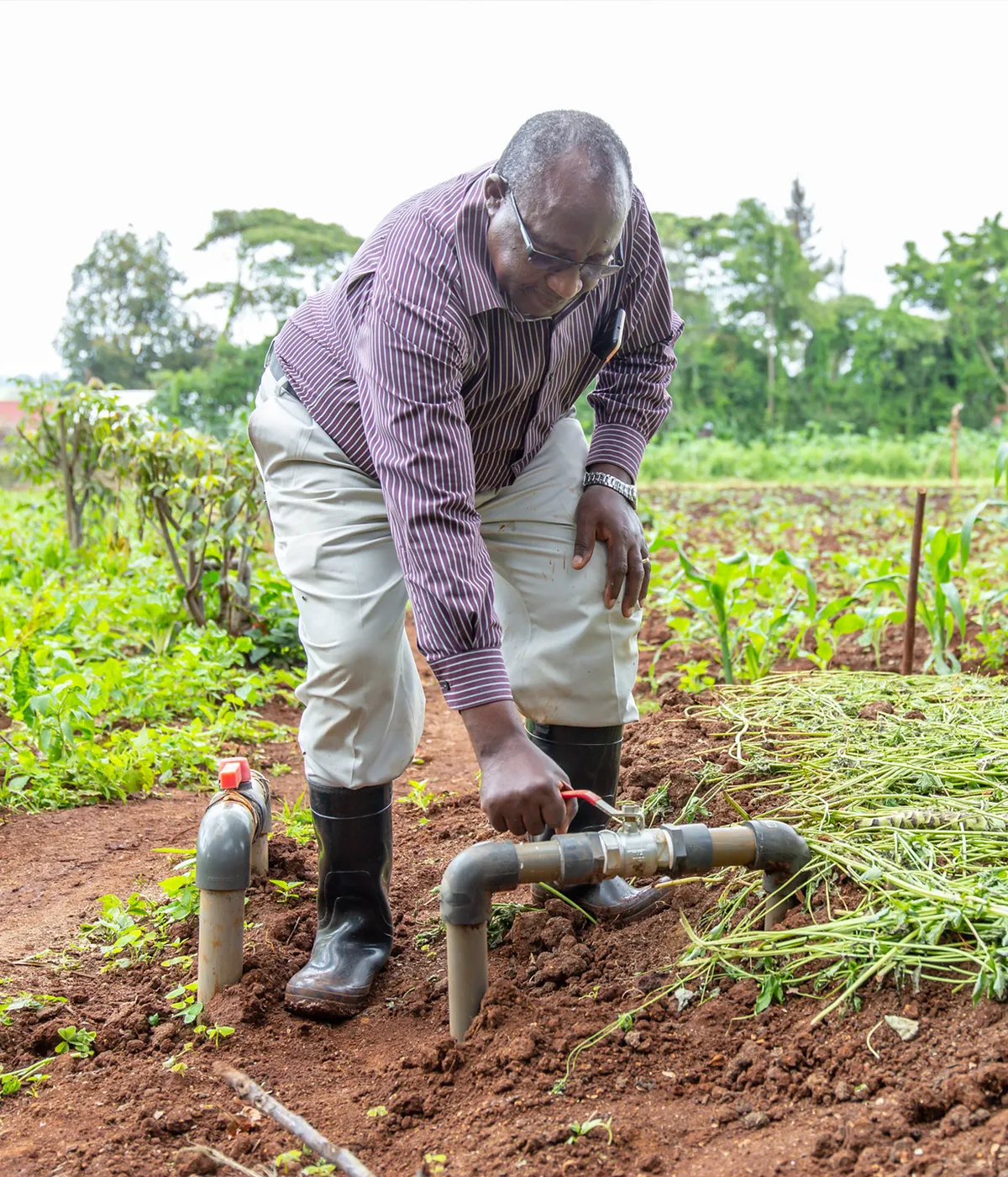 Saphia, a farmer in Kenya, turns on his water to supply while tending to his plants.